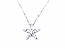 Silver CZ Star Pendant & Chain