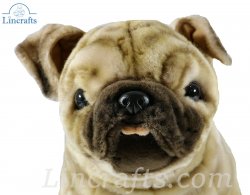 Soft Toy Pug Puppy Dog by Hansa (39cm.L) 7189