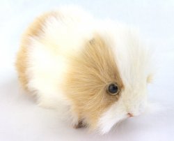 Soft Toy Gold & White Guinea Pig by Hansa (20cm) 7319