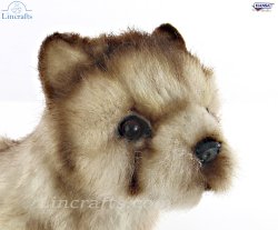 Soft Toy Wolf Baby by Hansa (19cm.H) 6728