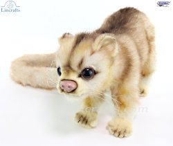 Soft Toy Kinkajou by Hansa (24cm) 6227