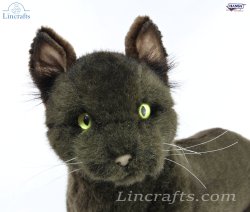 Soft Toy Bombay Cat by Hansa (36cm) 7027