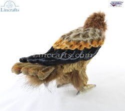 Soft Toy Bird, Wedge Tailed Eagle by Hansa (30cm) 8457