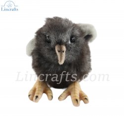 Soft Toy Bird, Pigeon Chick by Hansa (15cm) 7044