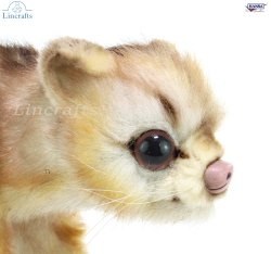 Soft Toy Kinkajou by Hansa (24cm) 6227