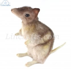 Soft Toy Eastern Barred Bandicoot by Hansa (16cm) 6235