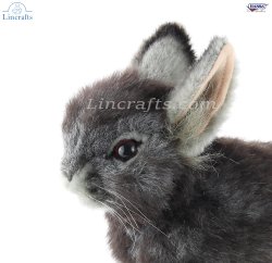 Soft Toy Grey Pygmy Rabbit by Hansa (22cm) L. 8129