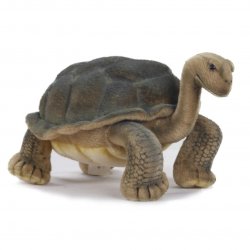 Soft Toy Galapagus Turtle (Tortoise) by Hansa (30cm) 6461