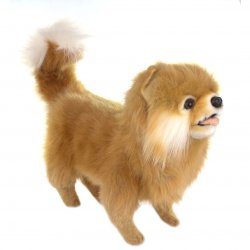 Soft Toy Dog, Pomeranian by Hansa (28cm) 7018