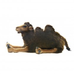 Soft Toy Camel by Hansa (55cm) 4655