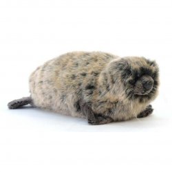 Soft Toy Monk Seal by Hansa (26cm) 5264