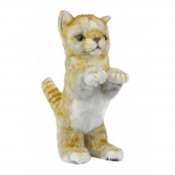 Soft Toy Ginger Cat Sitting by Hansa (22cm) 7013