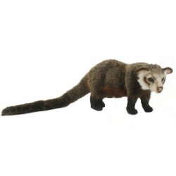 Soft Toy Asian Palm Civet by Hansa (44cm) 5581