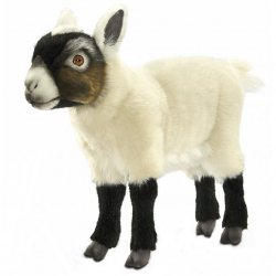 Soft Toy Cream & Black Goat Kid by Hansa (30cm) 7021