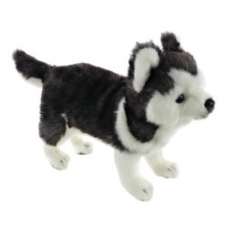 Soft Toy Dog, Husky Pup by Hansa (20cm.H) 6970