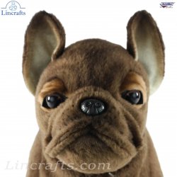 Soft Toy Dog, French Bulldog by Hansa (20cm) 6593