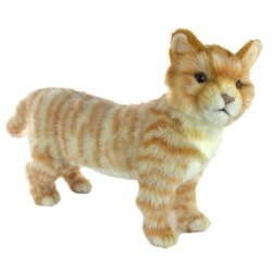 Soft Toy Ginger Tabby Cat by Hansa (25cm.H) 7178