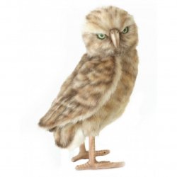 Soft Toy Bird of Prey, Burrowing Owl by Hansa (28cm) 5203