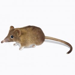 Soft Toy Elephant Mouse by Hansa (14cm.L) 7233