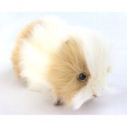 Soft Toy Gold & White Guinea Pig by Hansa (20cm) 7319