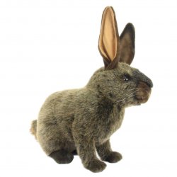 Soft Toy British Giant Bunny by Hansa (57 cm.L) 4565