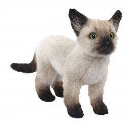 Soft Toy Cat, Siamese Kitten by Hansa (33cm) 7595