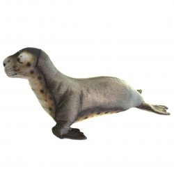 Soft Toy Monk Seal by Hansa (65cm) 6791