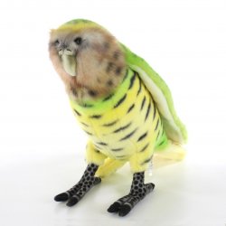 Soft Toy Bird Kakapo by Hansa (33cm.L) 7845