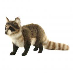 Soft Toy Raccoon by Hansa (42cm) 5181