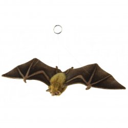 Soft Toy Orange Nectar Bat by Hansa (42cm.W) 8050