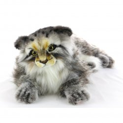 Soft Toy Pallas Cat by Hansa (44cm.L) 7080