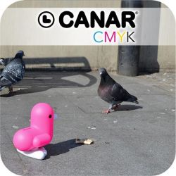 Dhink Dhink266-02 Canar 16cm Bird Design Saving Piggy Kiddy Coin Bank Magenta