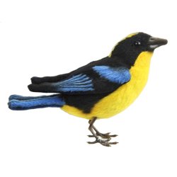 Soft Toy Blue Winged Mountain Tanager by Hansa (13cm) L. 8334