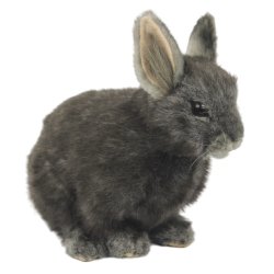 Soft Toy Grey Pygmy Rabbit by Hansa (22cm) L. 8129