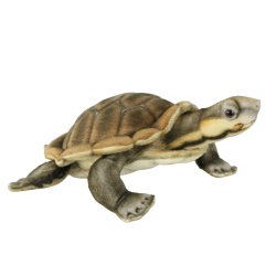 Soft Toy Manning River Turtle by Hansa (28cm) 8426