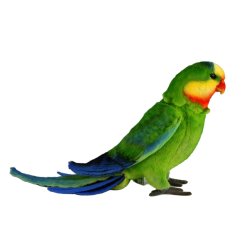 Soft Toy Bird Poseable Superb Parrot by Hansa (48cm) L. 8392