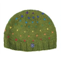 Pure Wool Rainbow tick beanie - leaf green