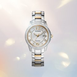 Citizen Ladies Eco Drive Bracelet Watch.