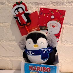 Christmas Kids Penguin Plush, Pen & Haribo Sweets Gift Set