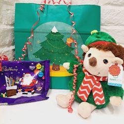 Christmas Green Hedgehog Plush Soft Toy Keel & Cadburys Selection Box Gift Set