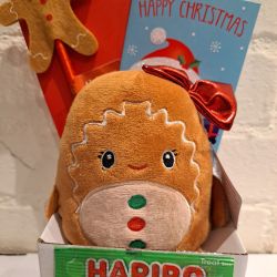 Christmas Kids Gingerbread Man Plush, Pen & Haribo Sweets Gift Set