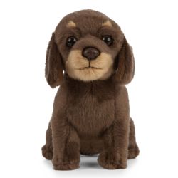 Dachshund Puppy Dog Plush Soft Toy - 19cm - Living Nature