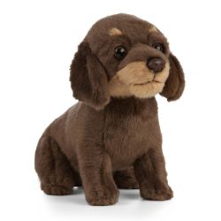 Dachshund Puppy Dog Plush Soft Toy - 19cm - Living Nature