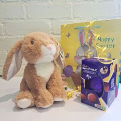 Easter Gift Set Cadbury's Button Easter Egg & Bunny Rabbit Plush Soft Toy Gift Bag