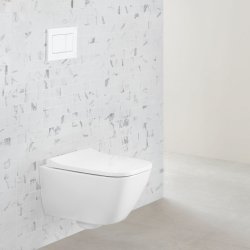 Geberit Sigma 30 Dual Flush Plate - Matt White & White