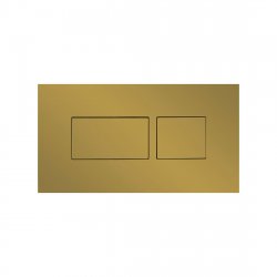 Britton Bathrooms Hoxton Brushed Brass Dual Flush Plate