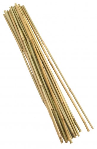 Smart Garden Bamboo Canes 120cm (Bundle of 20)