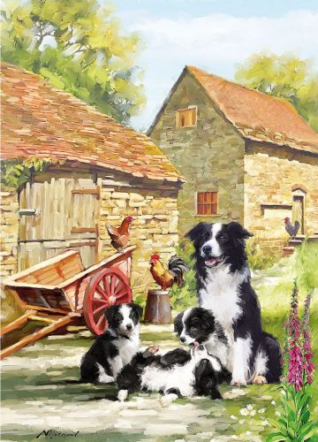 Birthday Card - Farmyard Collies - Country Cards