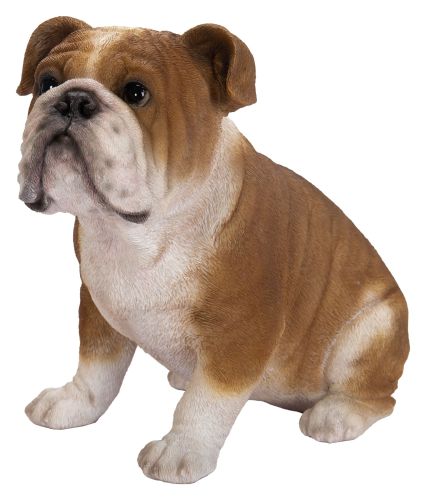 Vivid Arts Bulldog Dog - Garden Ornament 20cm - Indoor or Outdoor