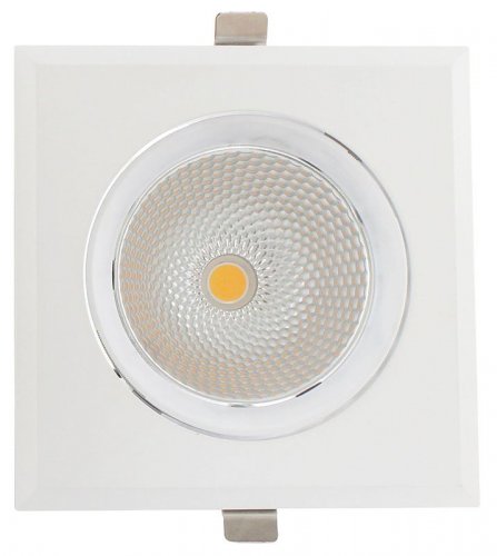 COB Downlight LED Square Rim Adjustable 30W 4000K White